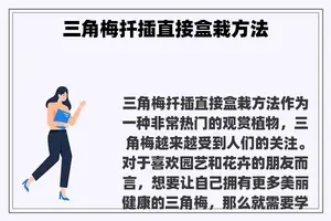 三角梅扦插直接盒栽方法