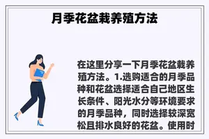 月季花盆栽养殖方法