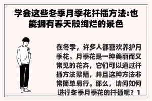 学会这些冬季月季花扦插方法:也能拥有春天般绚烂的景色