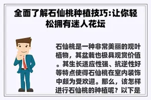 全面了解石仙桃种植技巧:让你轻松拥有迷人花坛 全面了解石仙桃种植技巧:让你轻松拥有迷人花坛
