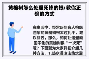 黄桷树怎么处理死掉的根:教你正确的方式