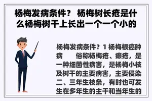 杨梅发病条件？ 杨梅树长疮是什么杨梅树干上长出一个一个小的？