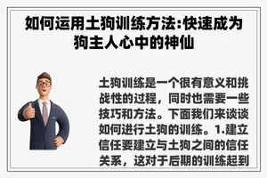 如何运用土狗训练方法:快速成为狗主人心中的神仙