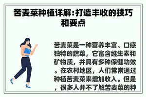 苦麦菜种植详解:打造丰收的技巧和要点
