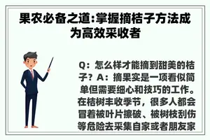果农必备之道:掌握摘桔子方法成为高效采收者