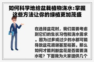 如何科学地给盆栽植物浇水:掌握这些方法让你的绿植更加茂盛