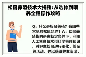 松鼠养殖技术大揭秘:从选种到喂养全程操作攻略