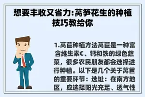 想要丰收又省力:莴笋花生的种植技巧教给你