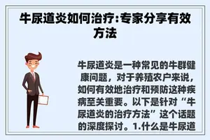 牛尿道炎如何治疗:专家分享有效方法