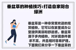 垂盆草的种植技巧:打造自家阳台绿洲