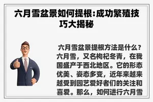 六月雪盆景如何提根:成功繁殖技巧大揭秘