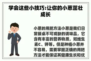 学会这些小技巧:让你的小葱茁壮成长
