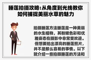 睡莲拍摄攻略:从角度到光线教你如何捕捉美丽水草的魅力