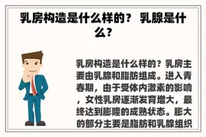 **构造是什么样的？ 乳腺是什么？