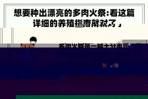 想要种出漂亮的多肉火祭:看这篇详细的养殖指南就对了