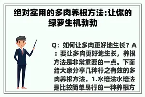 绝对实用的多肉养根方法:让你的绿萝生机勃勃
