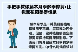 手把手教你藤本月季多季修剪:让你家花园美得惊艳