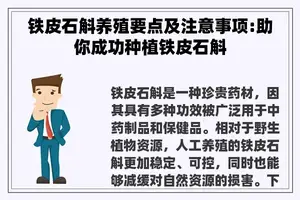 铁皮石斛养殖要点及注意事项:助你成功种植铁皮石斛