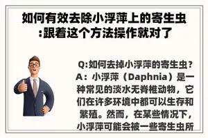 如何有效去除小浮萍上的寄生虫:跟着这个方法操作就对了