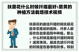 扶桑花什么时候扦插最好:桑黄的种植方法栽培技术视频