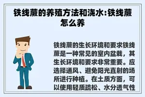 铁线蕨的养殖方法和浇水:铁线蕨怎么养