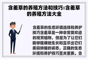 含羞草的养殖方法和技巧:含羞草的养殖方法大全