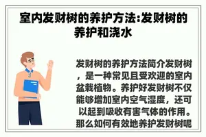 室内发财树的养护方法:发财树的养护和浇水