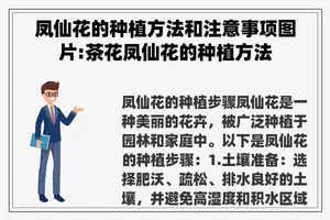 凤仙花的种植方法和注意事项图片:茶花凤仙花的种植方法 凤仙花的种植方法和注意事项图片:茶花凤仙花的种植方法