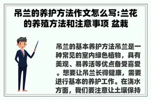 吊兰的养护方法作文怎么写:兰花的养殖方法和注意事项 盆栽