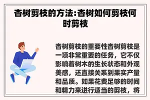 杏树剪枝的方法:杏树如何剪枝何时剪枝