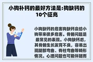 小狗补钙的最好方法是:狗缺钙的10个征兆