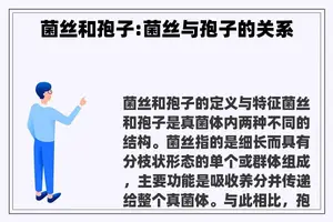 菌丝和孢子:菌丝与孢子的关系