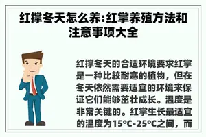 红撑冬天怎么养:红掌养殖方法和注意事项大全