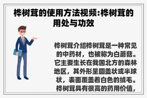 桦树茸的使用方法视频:桦树茸的用处与功效