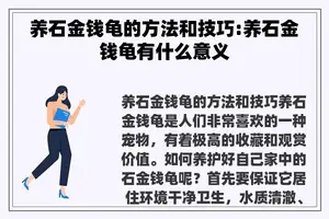 养石金钱龟的方法和技巧:养石金钱龟有什么意义