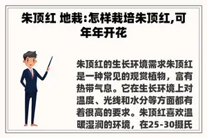 朱顶红 地栽:怎样栽培朱顶红,可年年开花