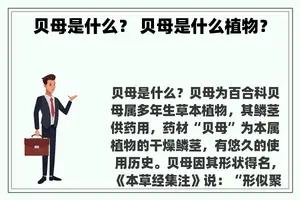 贝母是什么？ 贝母是什么植物？