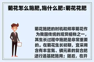 菊花怎么施肥,施什么肥:菊花花肥