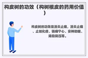 构皮树的功效（构树根皮的药用价值）