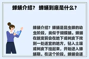蝉蛹介绍？ 蝉蛹到底是什么？
