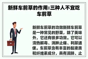新鲜车前草的作用:三种人不宜吃车前草