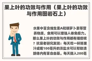 果上叶的功效与作用(果上叶的功效与作用图岩石上) 果上叶的功效与作用(果上叶的功效与作用图岩石上)