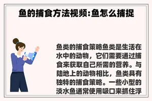 鱼的捕食方法视频:鱼怎么捕捉