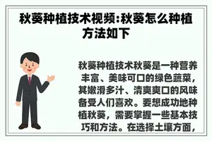 秋葵种植技术视频:秋葵怎么种植方法如下