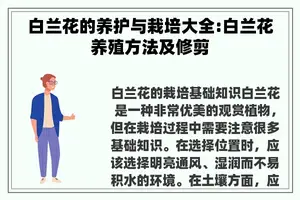 白兰花的养护与栽培大全:白兰花养殖方法及修剪