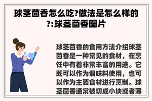 球茎茴香怎么吃?做法是怎么样的?:球茎茴香图片 球茎茴香怎么吃?做法是怎么样的?:球茎茴香图片