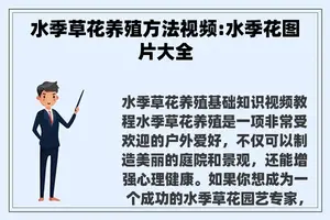 水季草花养殖方法视频:水季花图片大全