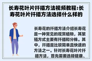 长寿花叶片扦插方法视频教程:长寿花叶片扦插方法选择什么样的土