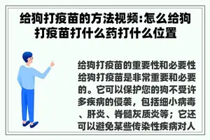 给狗打疫苗的方法视频:怎么给狗打疫苗打什么药打什么位置