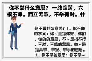 你不举什么意思？ 一路喧嚣，六根不净。而立无影，不举有时。什么意思呢？